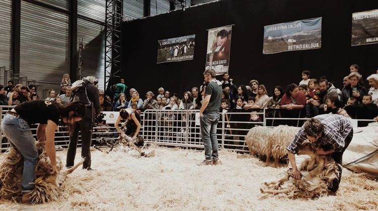 LURRAMA - Le salon de la ferme Pays Basque s’installe à Biarritz